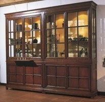 Vitrine - Bibliotheekkast 02